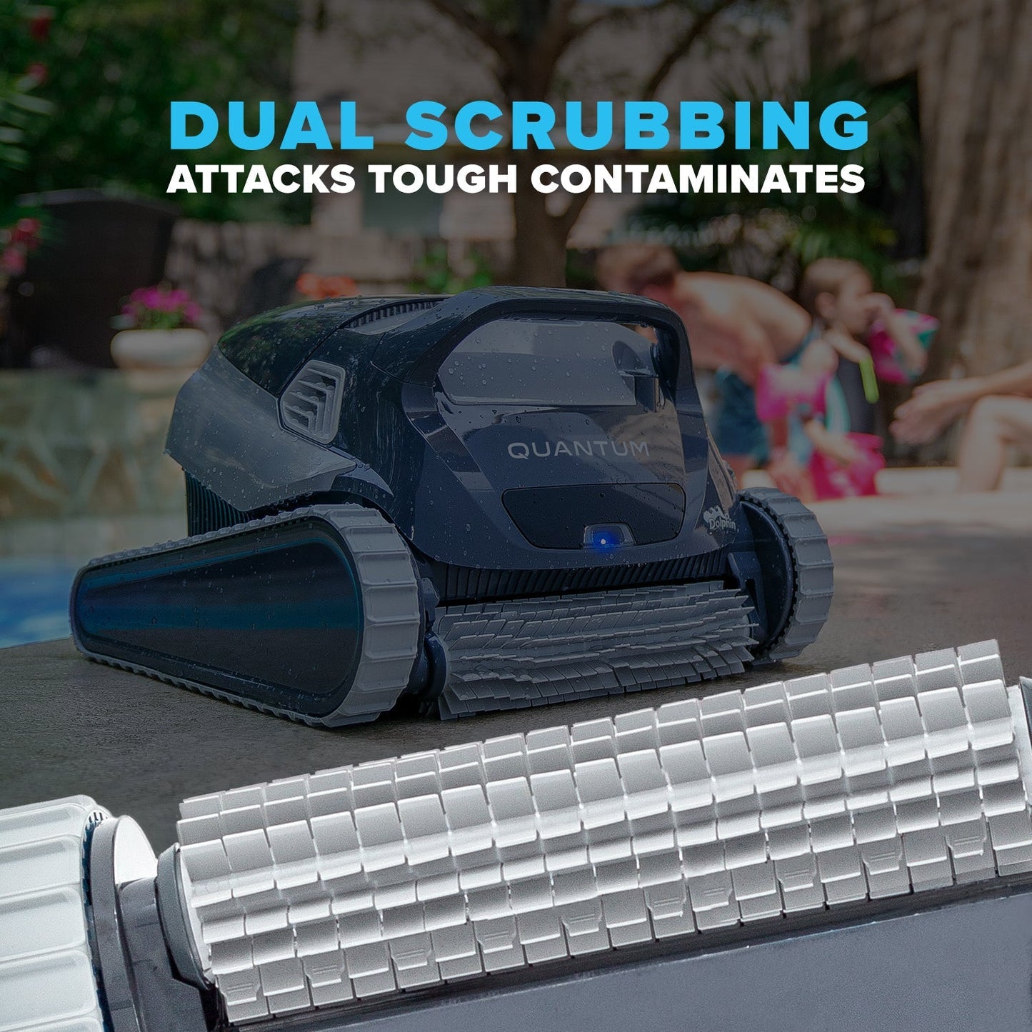 Dolphin Quantum Hyperbrush Scrubbing