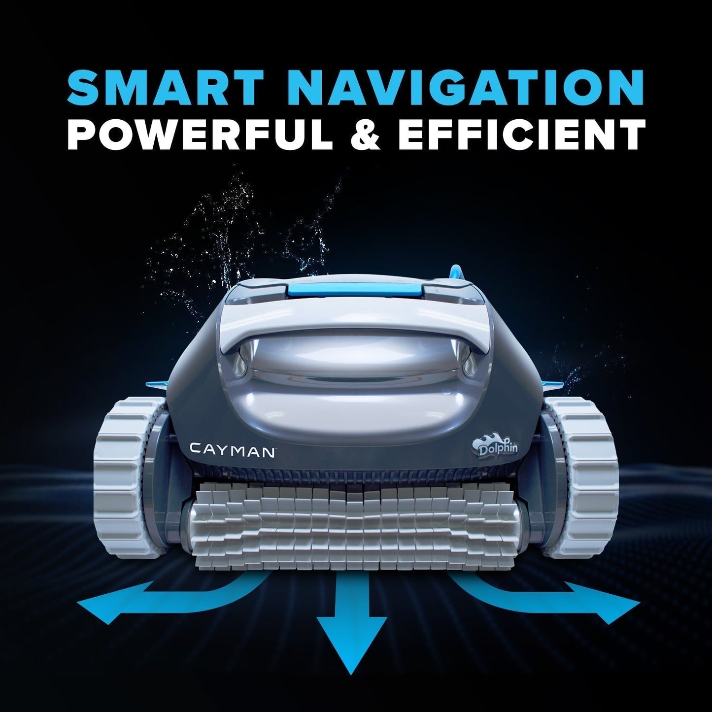 Dolphin Cayman (Open Box)