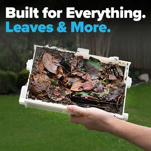 NanoFilters for Dolphin Sigma